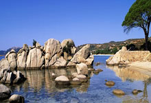 内马尔新星晋级下一阶段表现突出，西班牙队前途光明！